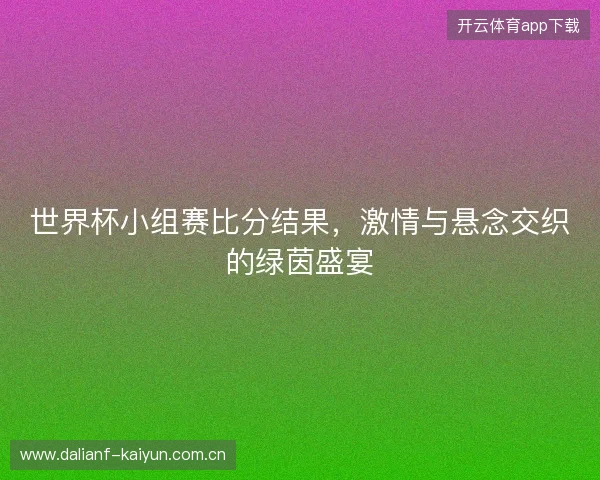 世界杯小组赛比分结果，激情与悬念交织的绿茵盛宴